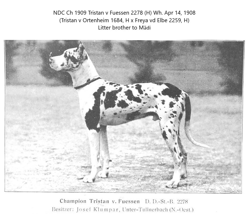 Tristan v Fuessen